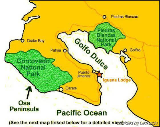 Iguana Resort